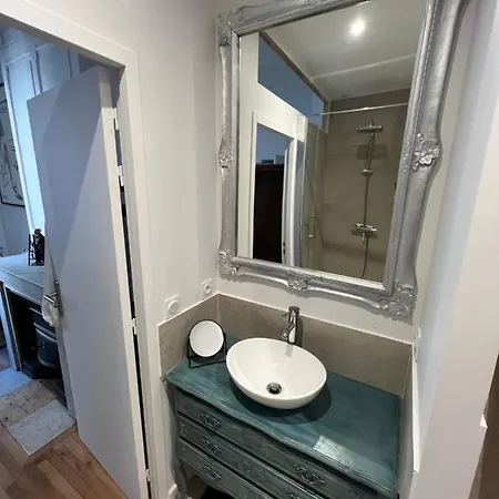 Apartment Nid De Calme Climatise Lyon