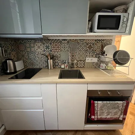 Apartment Nid De Calme Climatise Lyon